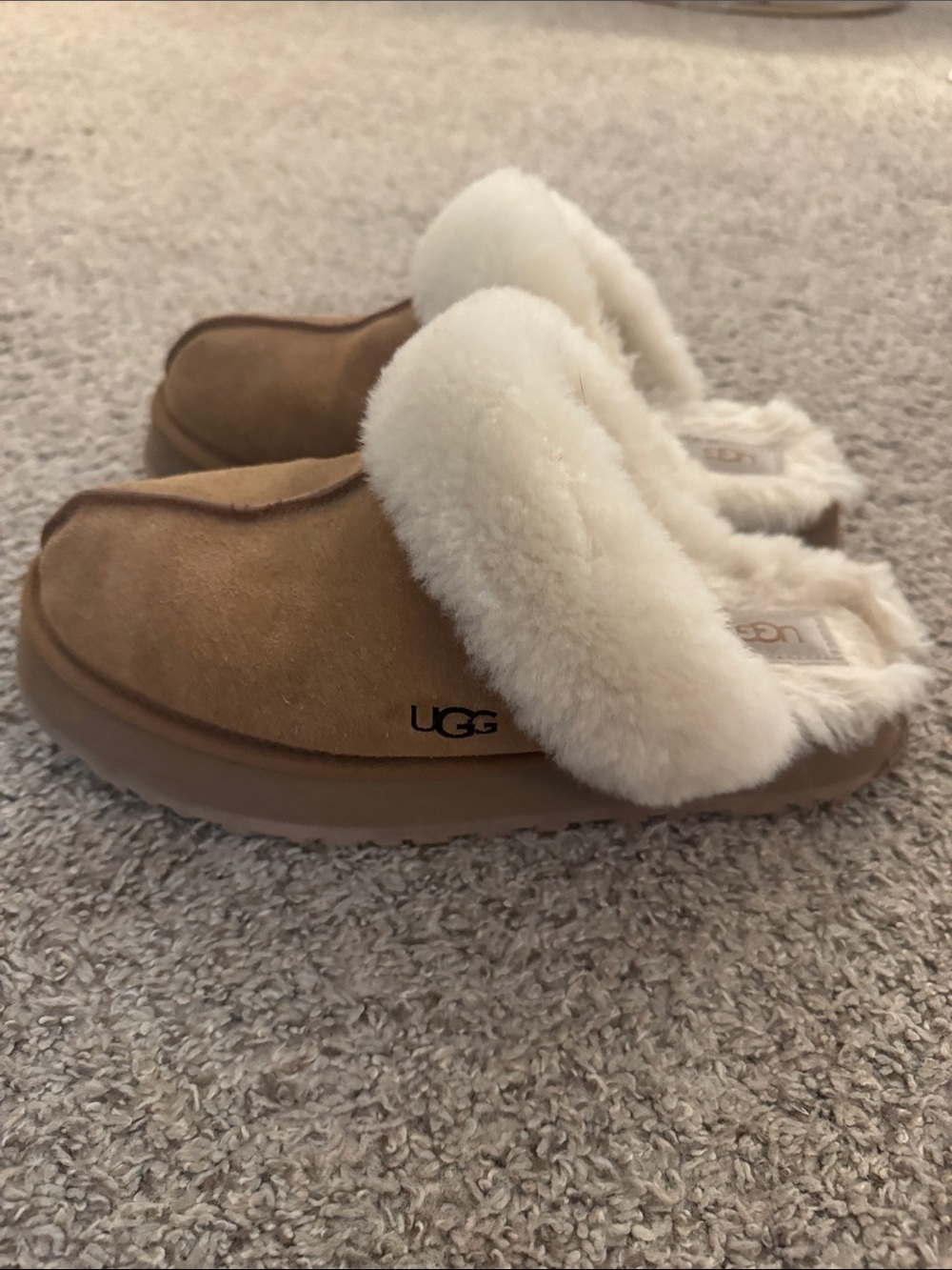UGG Tasman Clog in Chestnut with Cream Fur Trim